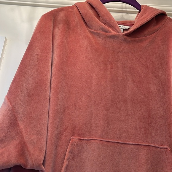 American Eagle Velour Hoodie - Picture 4 of 5